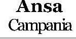 ANSA